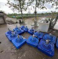 فروش اسپیلش استخر ماهی