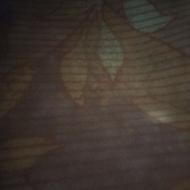 قرش وموکت 12متری