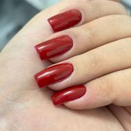 کاشت وترمیم