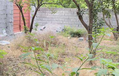 350 متر زمین خانه باغی در بهنمیر