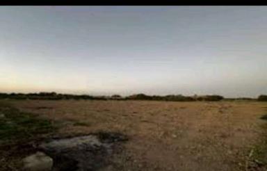 فروش زمین کشاورزی 2500 متر