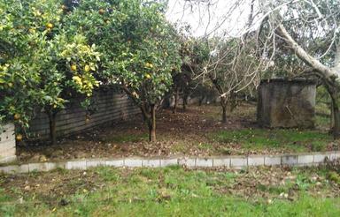 فروش فوری زمین مسکونی 306 متر