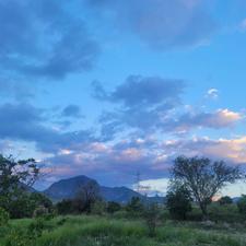 فروش زمین کشاورزی دارای حق آبه