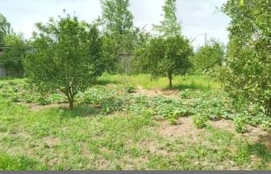 1000مترزمین درآرپادره سی