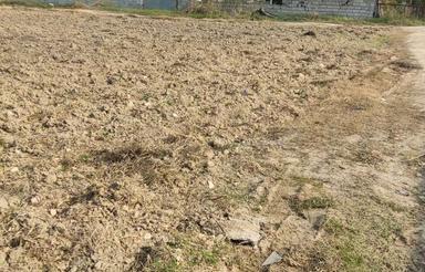 زمین 300 متری