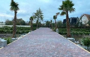 فروش زمین 233 متر در ولی آباد