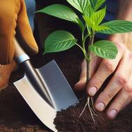 کود ارگانیک گیاهی کشاورزی و خانگی