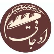 استخدام شاطرسنتی