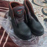 کفش کارایمنی..