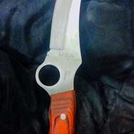 یک دانه چاغو انگشتی