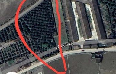 3500 متر باغ مرکبات 20 ساله