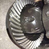 کله گاوی نیسان