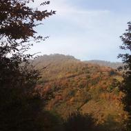 زمین بر جاده برق گاز در اشکورات