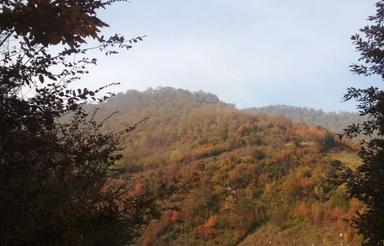 زمین بر جاده برق گاز در اشکورات