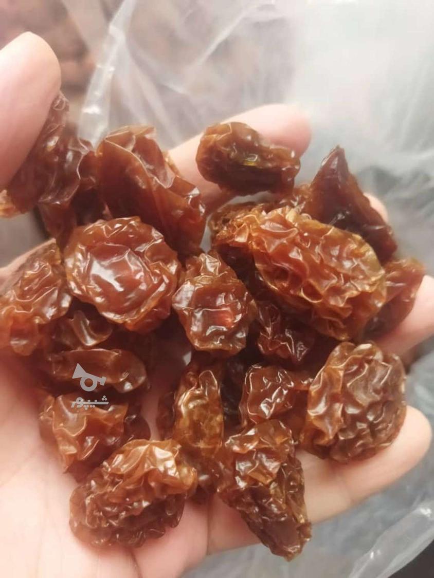 انواع خشکبار.