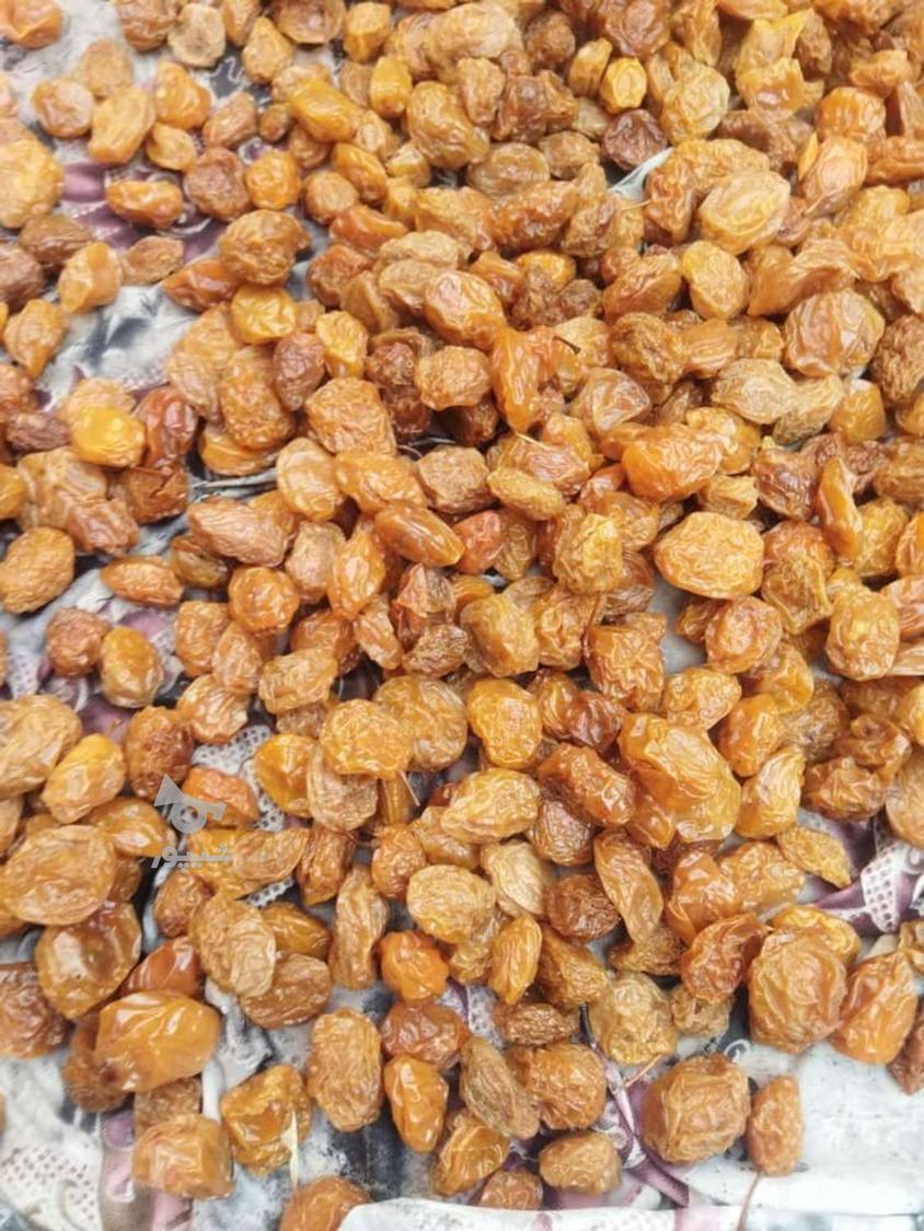 انواع خشکبار.