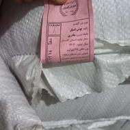 بذر گندم یونی استار