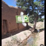 کشاورزی باغ