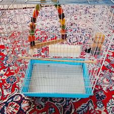 قفس سالم عروس