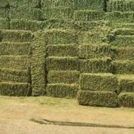 یونجه خالص انباری