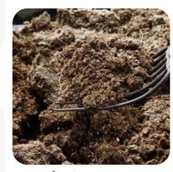 فروش کود گوسفندی