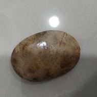 سنگ قیمتی فسیل کاملأ طبیعی