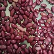 فروش 2تن لوبیا قرمز درجه یک بوجاری شده کشت اول