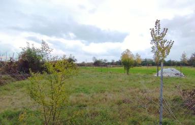 زمین 2300متری با کاربری مسکونی و باغات