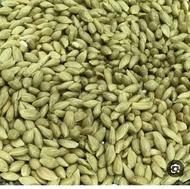 خریدار تخم نارنج