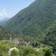 150 متر زمین با ویو جنگل و رودخونه