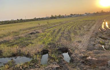 5529 متر شالیزار کنار اببندان قاجارخیل