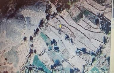 550 متر زمین کشاورزی موقعیت خوب