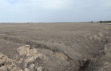 17هزارمتر سند دار،واقع در جاده بندر امیرآباد روستای قره تپه