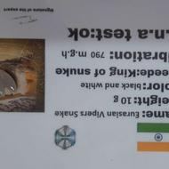 مهره برد شناسنامه دار