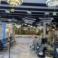 حسابدار مالی