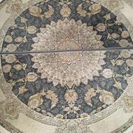 پادری 1200شانه با تراکم 3600 یلدای کویر کاشان