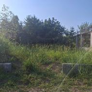 فروش زمین  210 متر در پالوجده