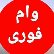 وام فوری 4روزه از 100تا 1میلیارد فقط با سفته الکترونیک