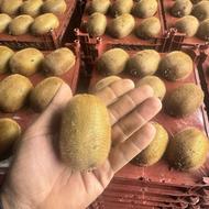 کیوی آماده سوپر