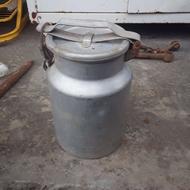 ظرف شیردامد