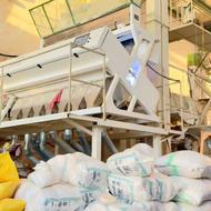 برنج طارم معطر گرگان