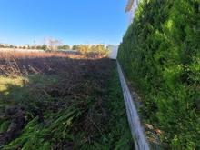 فروش زمین مسکونی در شهرک گل نرگس 440 متر در اجاکسر در شیپور