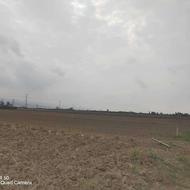 زمین زیر قیمت کوچه گلسار جاده شاهکیله