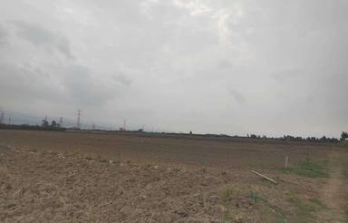 زمین زیر قیمت کوچه گلسار جاده شاهکیله