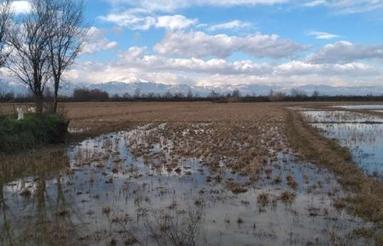 حتمان بخوانید.فروش سه قطعه زمین جدا یا باهم احمدگوراب
