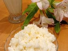 قارچ کفیر قفقازی دوغ کفیر هم موجود هستش در شیپور