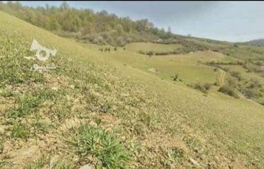 زمین فروشی ویو عالی6300متر