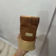 آگ قهوه ای عسلی