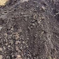 فروش کود گوسفند سالنی درجه یک