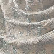 والون دوطرفه